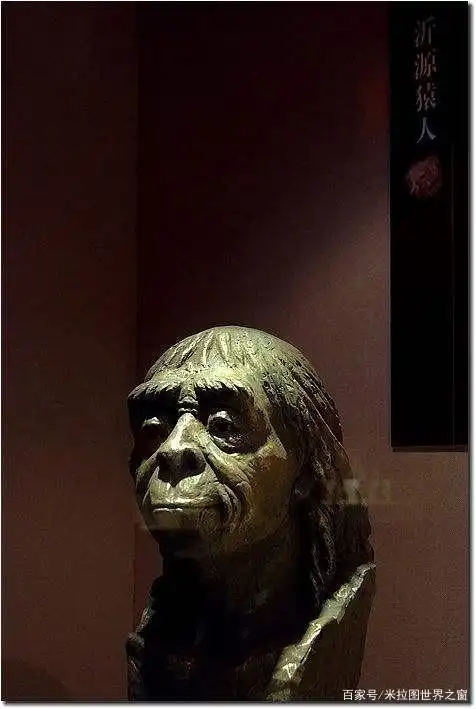 揭秘中华文明最早的山东人