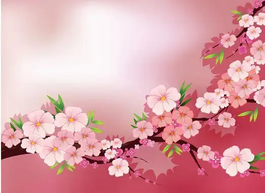 属虎的人2017年桃花运