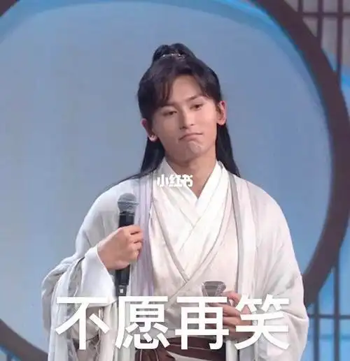 山河令_演唱会_表情包_龚俊_张哲瀚_张哲瀚龚俊山河令_素材_表情包