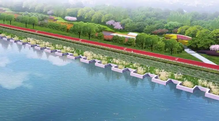 图为护岸生态修复效果图图片来源江苏新闻网