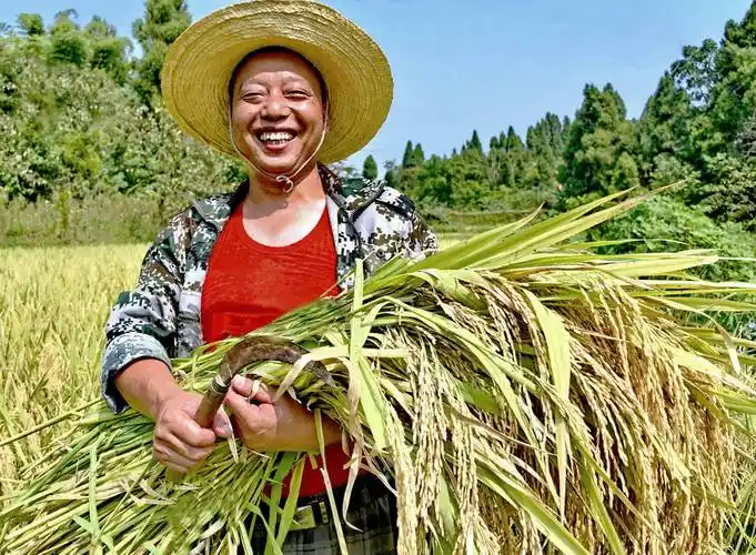 《"最美中国人"笑脸照片》(丰收的喜悦)