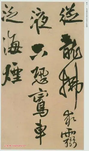 王铎行书《赠汤若望诗翰册页》(6)