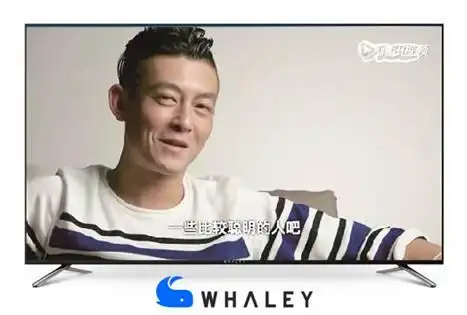 陈冠希,【vice】记录片----触手可及