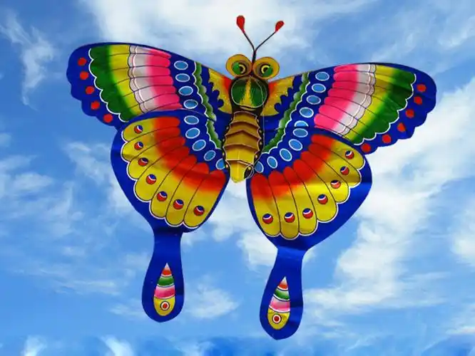 潍坊大量厂家直销 优质蝴蝶风筝批发