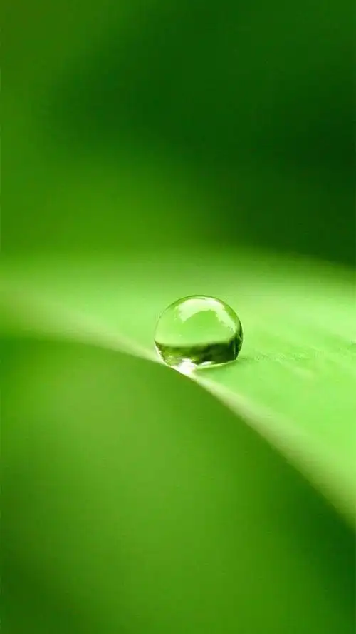 夏日清凉壁纸评论区有超多