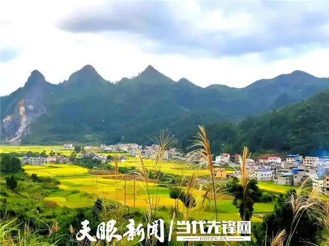 「我的脱贫故事」扶贫政策渡难关 幸福生活正当下丨贵定县昌明镇新安