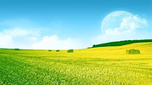 绿色清新护眼风景高清桌面壁纸