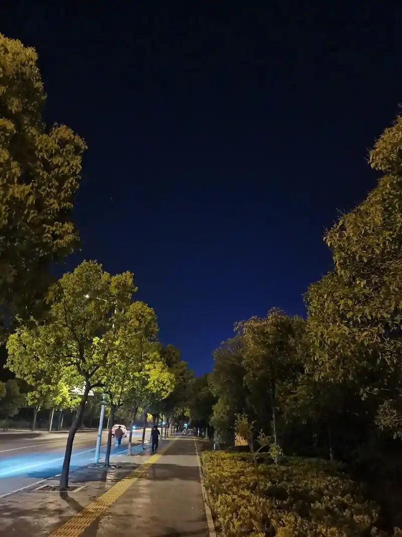 晚上散步,想日间所读诗词,信笔五首短韵. 夜思(一) 玉簟忽 - 抖音