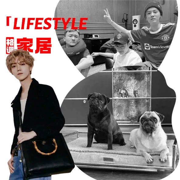 鹿晗北京8000w豪宅曝光!600㎡独栋别墅装修平亿近人