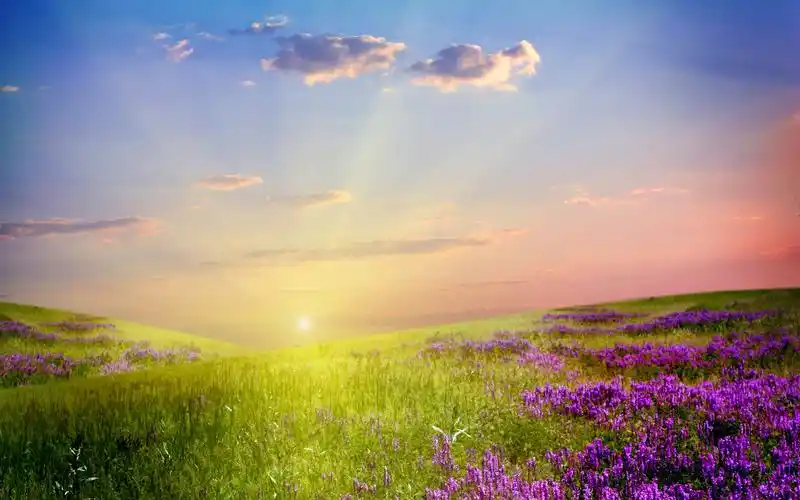 花草风景图片唯美电脑桌面壁纸下载.自然界的鬼斧神工,总是美得让人惊