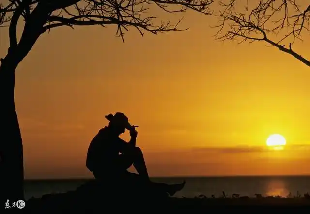 一个人看了44次日落,27个和孤独有关的故事,希望你从未感受过