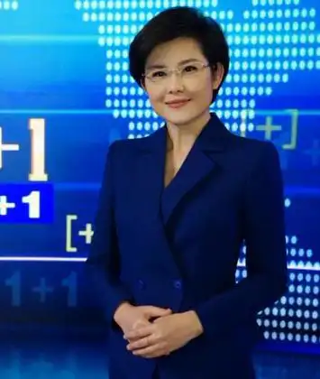 问题一,主持人王宁个人资料