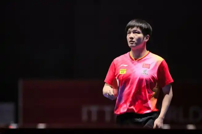 樊振东##釜山世乒赛团体赛