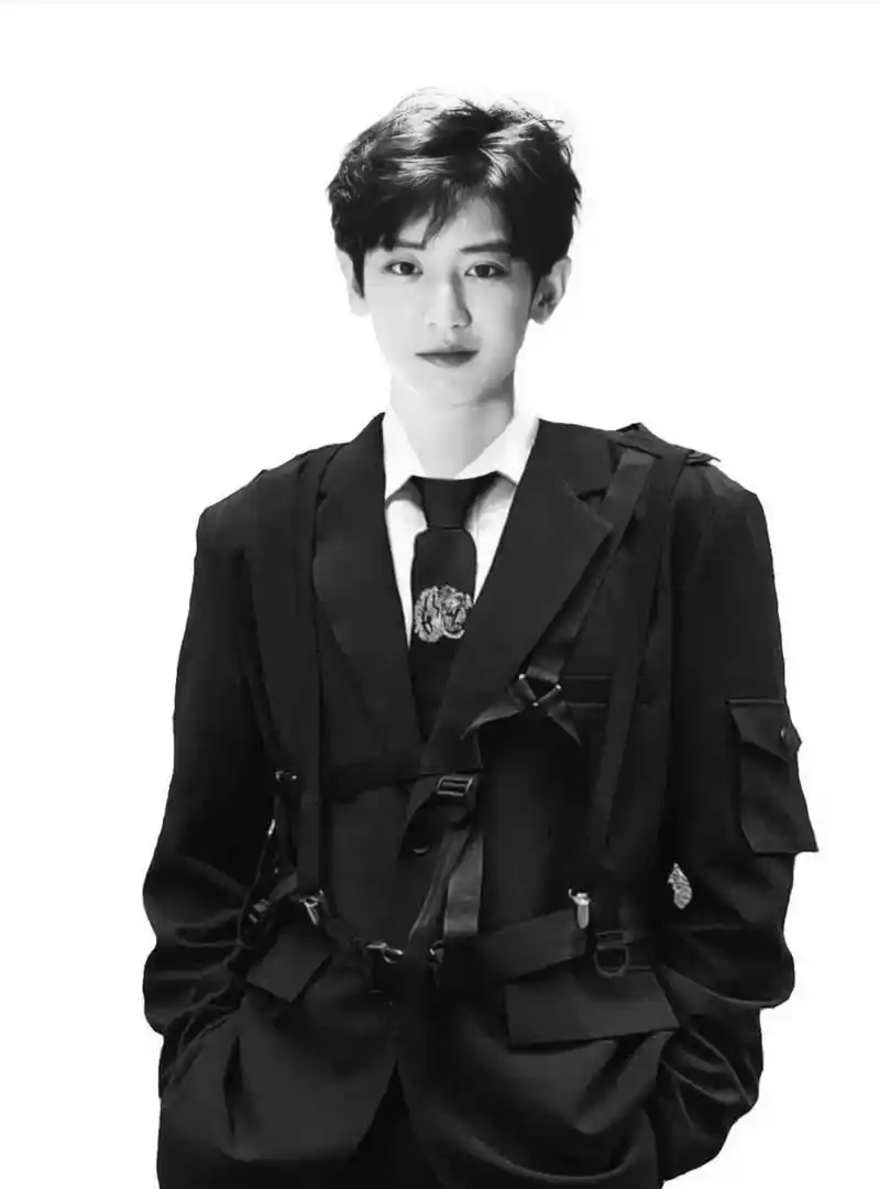 朴灿烈的证件照yyds.#exo #朴灿烈 #chanyeo - 抖音