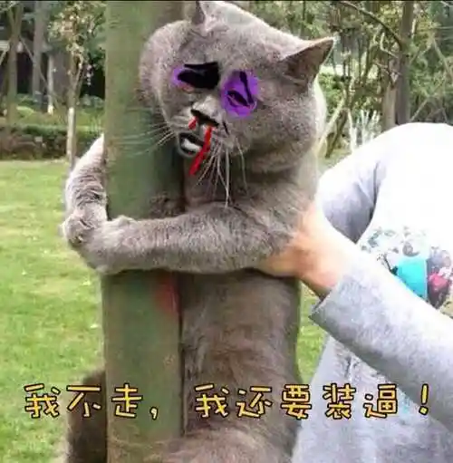 我不走,我还要装逼!_装逼_还要表情