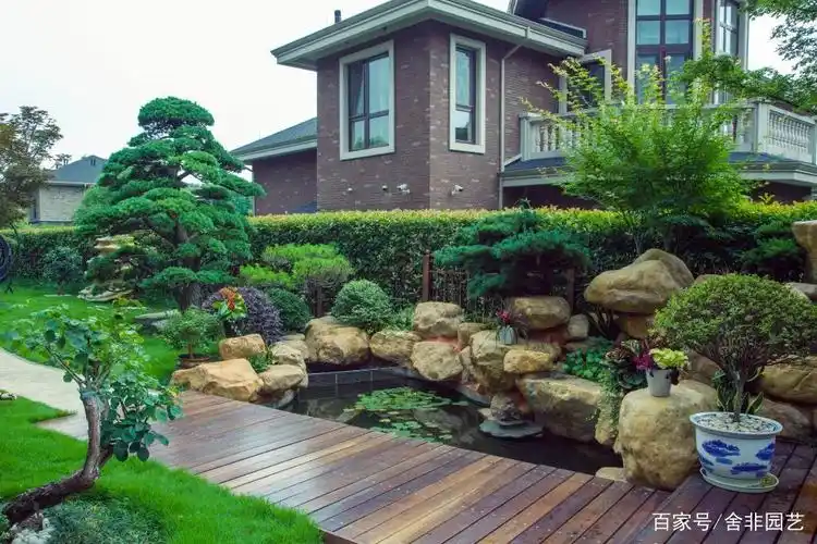 假山- 热门商品专区