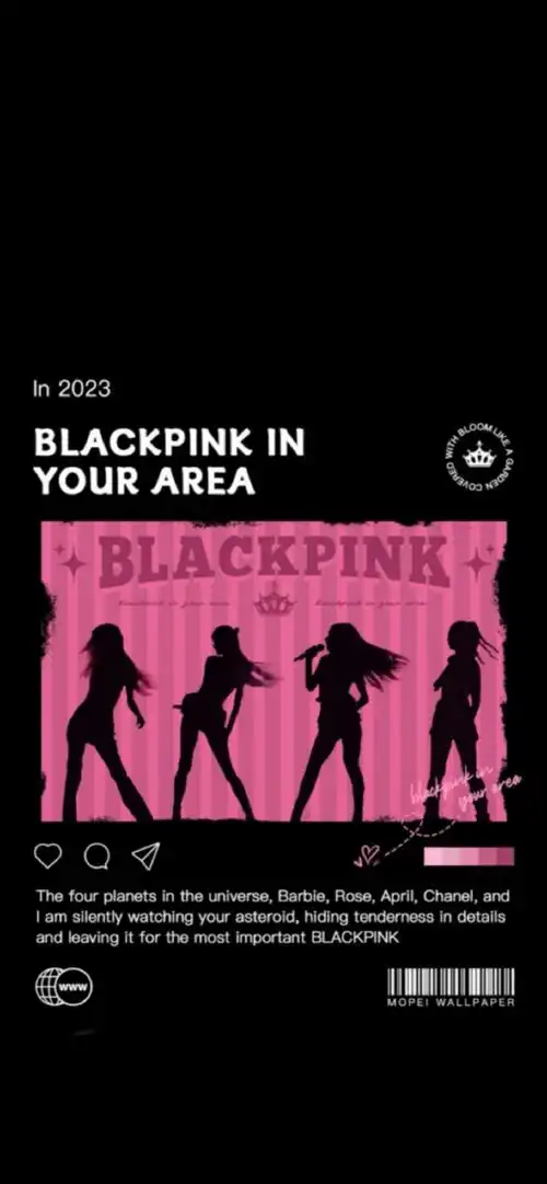 blackpink##壁纸