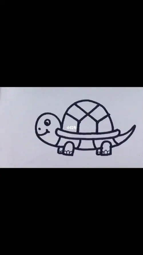 简单几笔画出可爱的小乌龟