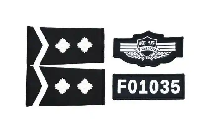 费县辅警统一换发服装标识,新标识长这样→_大小_颜色_拼音