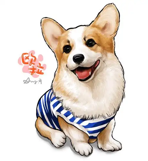 [私人订制 · amy.a · 萌宠绘]柯基-欧拉