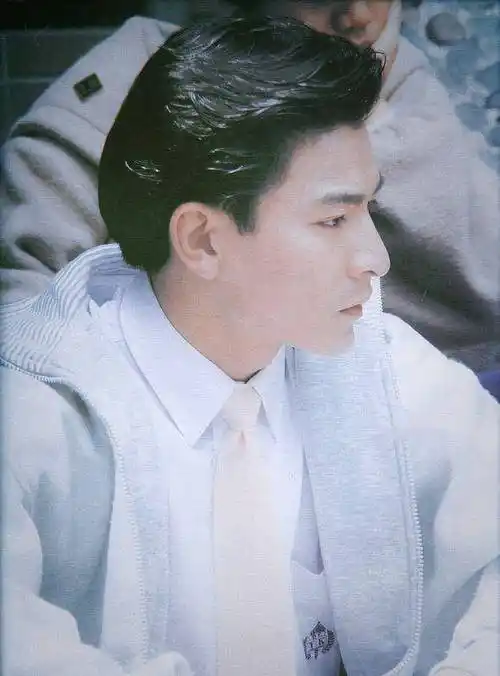 刘德华近乎完美.