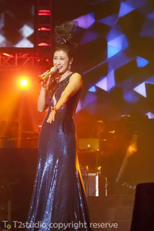 2013 叶倩文演唱会 广州站