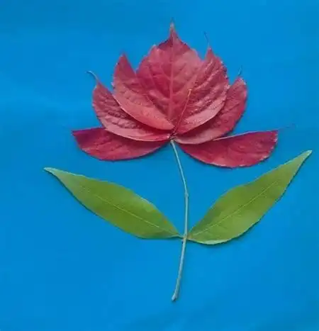 一年级树叶贴画手工简单又漂亮