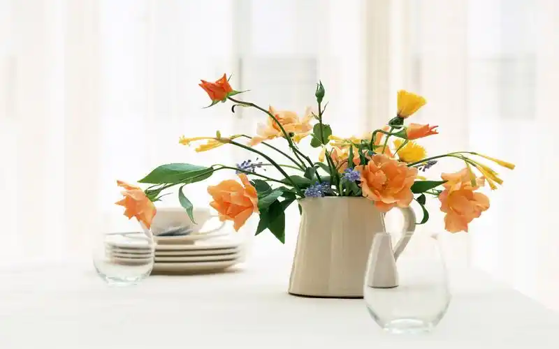 风景壁纸,唯美,简约,花卉,植物,清新,壁纸,1920x1200