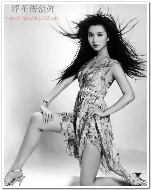 陈好照片图片写真简介