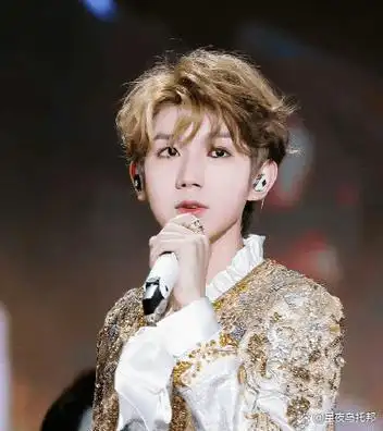 tfboys永不解散!_王俊凯_四叶草_王源