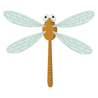 蜻蜓夏日昆虫卡通手绘高清