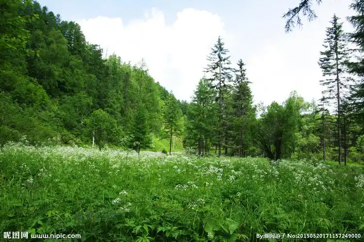 长白山春天摄影图__自然风景_自然景观_摄影图库_昵图网nipic.com