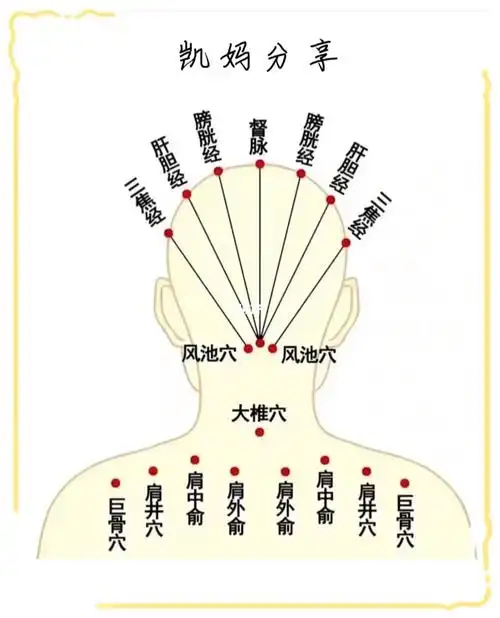 头部经络知多少收藏82