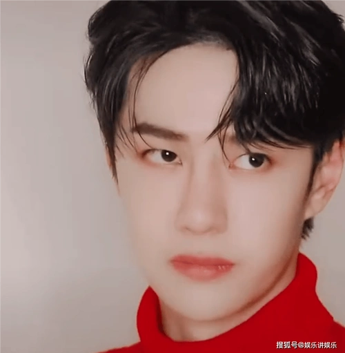 王一博成泰国签证表格模板,国内也用他证件照做示例_电影_官方_照片