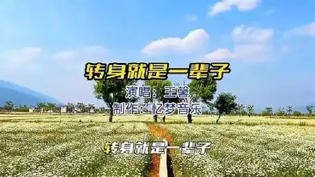 王馨一首《转身就是一辈子》又火了,优美动听入心醉人,超级好听