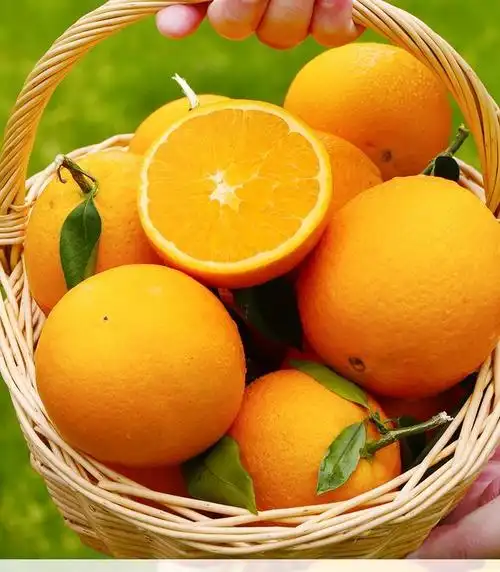 【精选生鲜】湖北秭归新鲜橙子高山脐橙现摘应季酸甜孕妇水果3/5/9斤