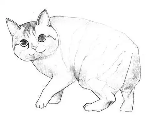 素描宠物简笔画