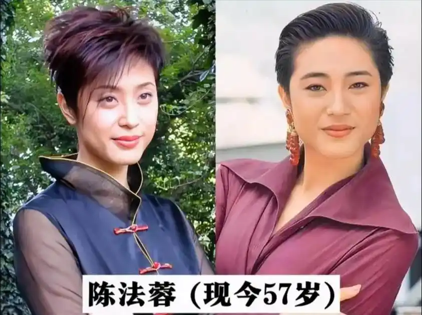 越老越有味道的女明星,看有没有你喜欢的.#娱乐圈#陈法蓉#杨 - 抖音