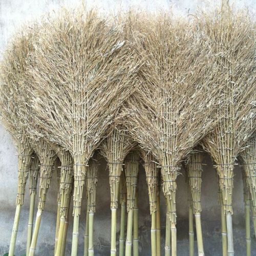 大扫把批发环卫竹扫帚竹子马路扫竹制家用扫地庭院子小扫帚户外