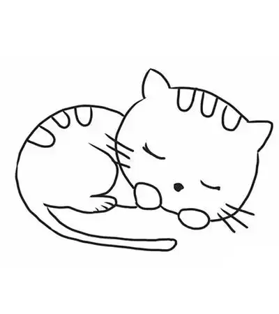 怎么绘制简笔画睡觉的小猫