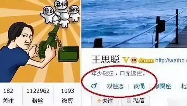 回顾王思聪消失1年背后早有迹可循猖狂多年终于碰到硬茬