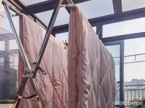 原来螨虫"天敌"并不是暴晒?家里放些"它",螨虫"消失"了