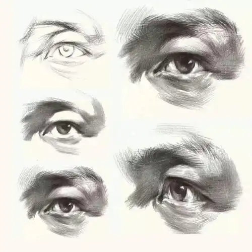 五官教学步骤图