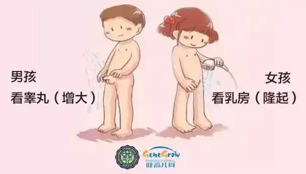 男孩睾丸发育,增大,女孩乳腺发育,乳房隆起是性发育开始的标志.