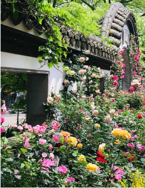 开满鲜花的春天抖音歌曲名字