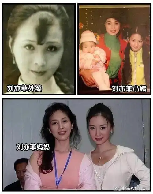 回顾娱乐圈的6位星妈貌美如花气质优雅不当明星可惜了