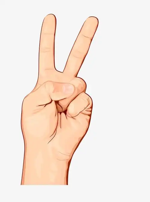 手绘手指姿势