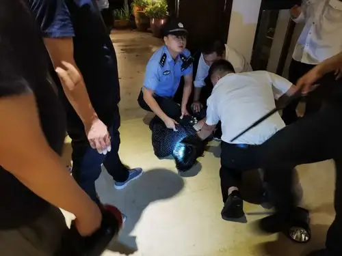 紧急出动,抓捕犯罪分子