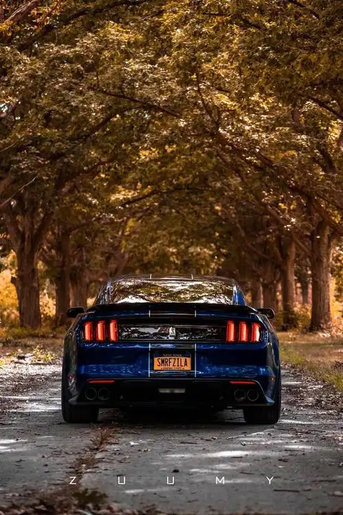 国外福特蝰蛇爆改高清大图