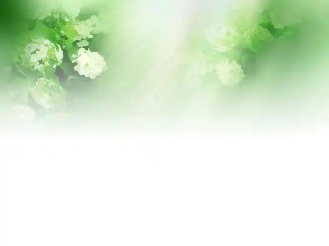 好看的绿色桌面背景,幻灯片清新背景图片 - ppt之家